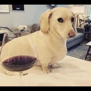 Meet your Posher, Ronnisha